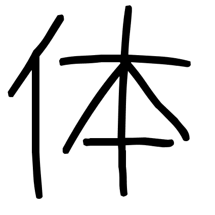 体